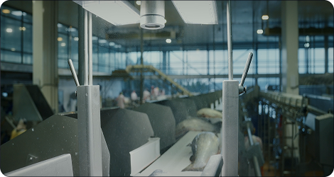 K-Factor — dashboard de destino productivo en tiempo real