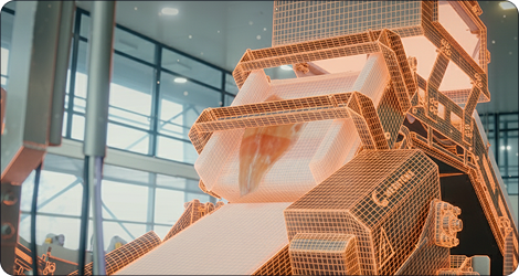 Q-Sort detectando defectos en filetes de salmón