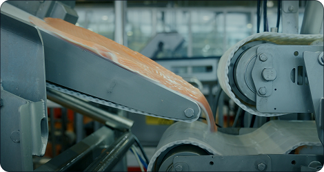 Salidas clave de Q-Sort para filetes de salmón