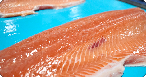 TRIM detectando presencias en filetes de salmón