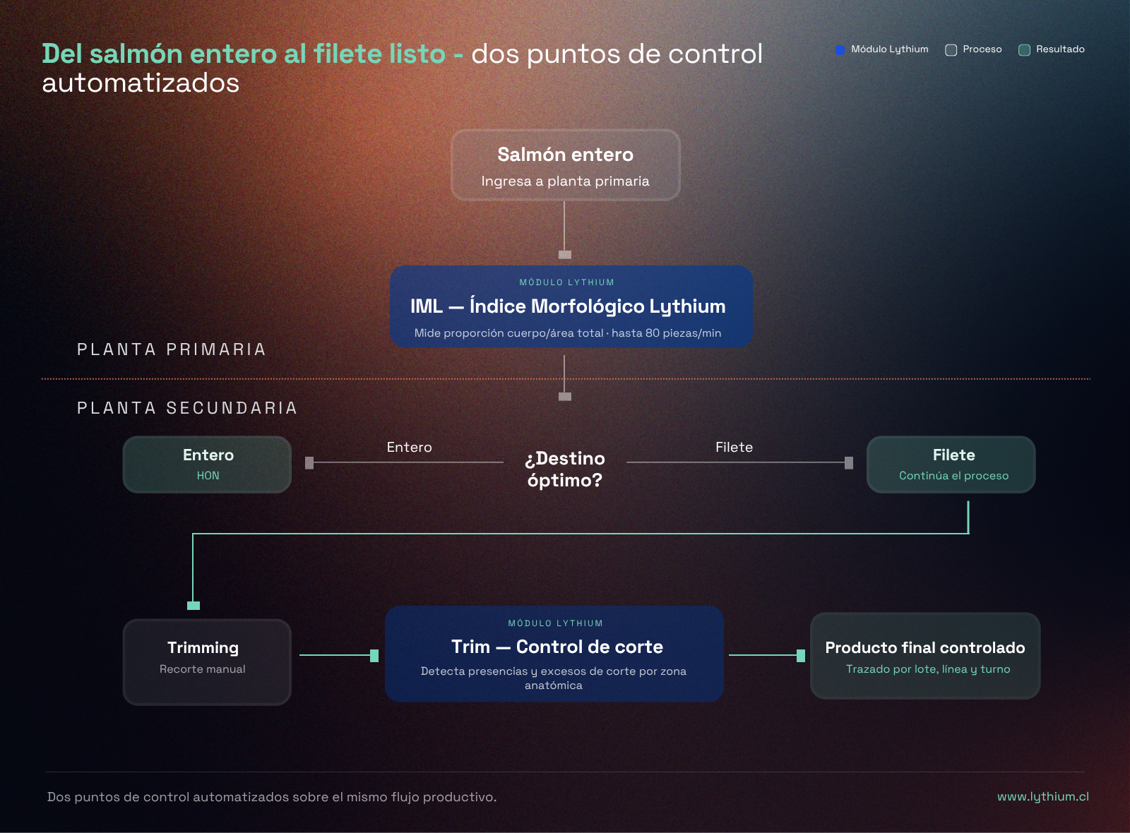 Mapa Flujo IML + Trim — Lythium - explicación de instalación de cada solución